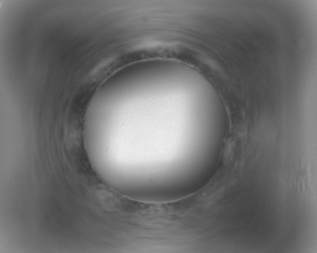 X0000082140869200701262240