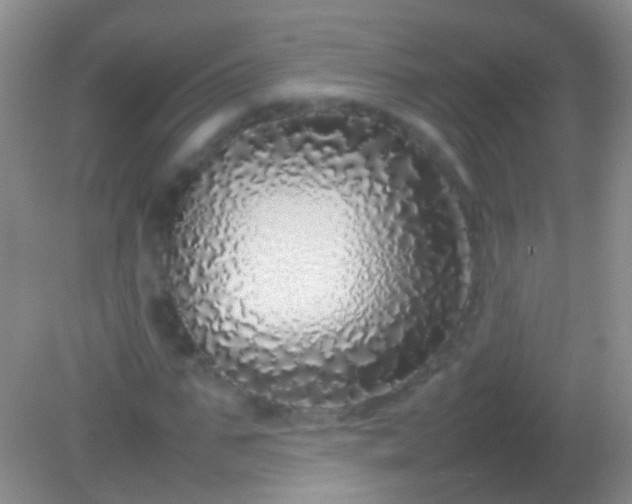X0000082140871200701262240