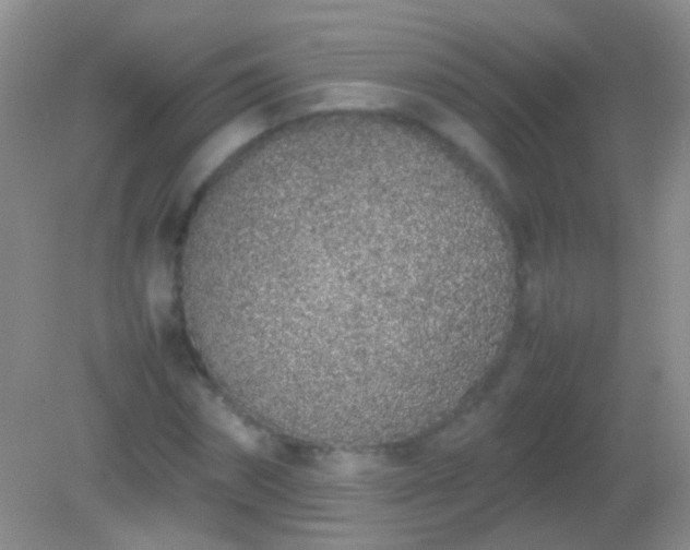 X0000082140874200701262240