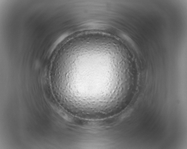 X0000082140875200701262240