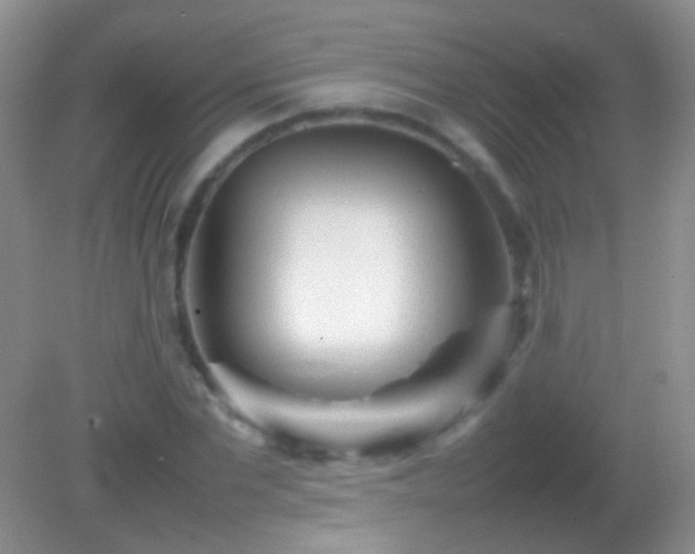 X0000082140877200701262240