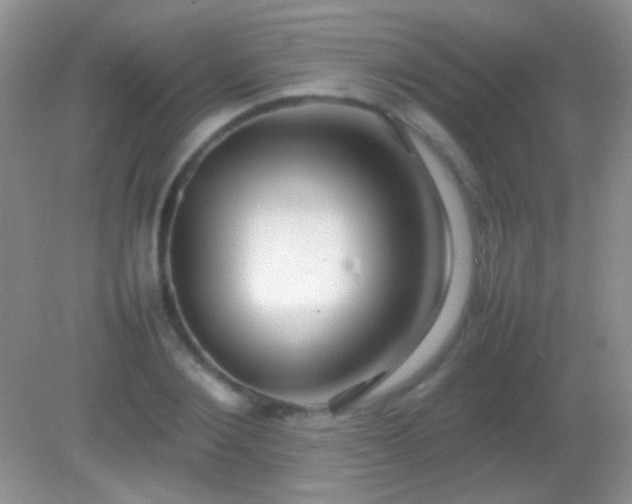 X0000082140884200701262240