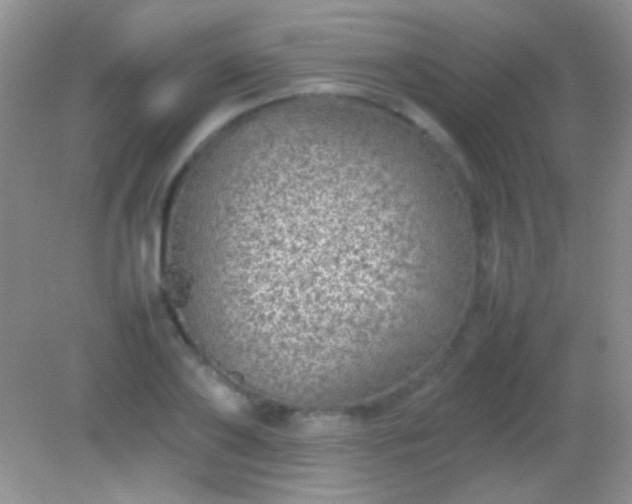X0000082140886200701262240