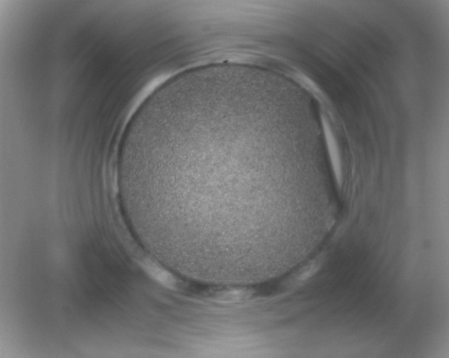 X0000082140891200701262239