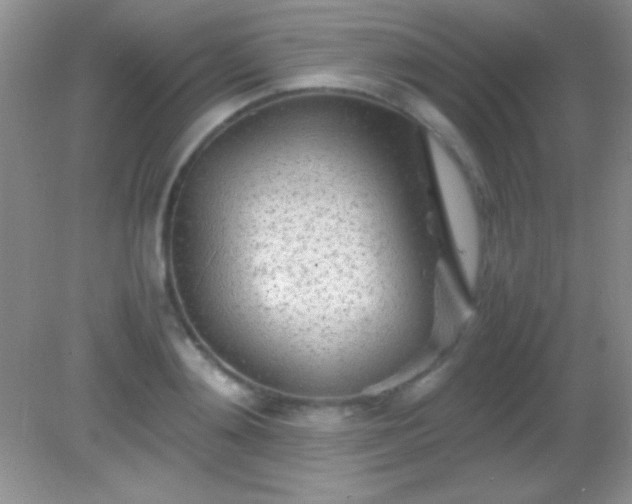 X0000082140892200701262239