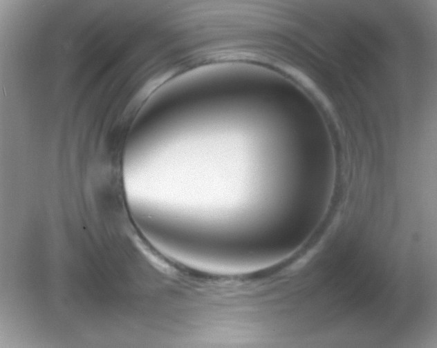 X0000082140897200701262239