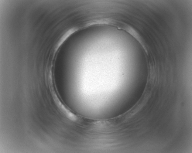 X0000082140906200701262239