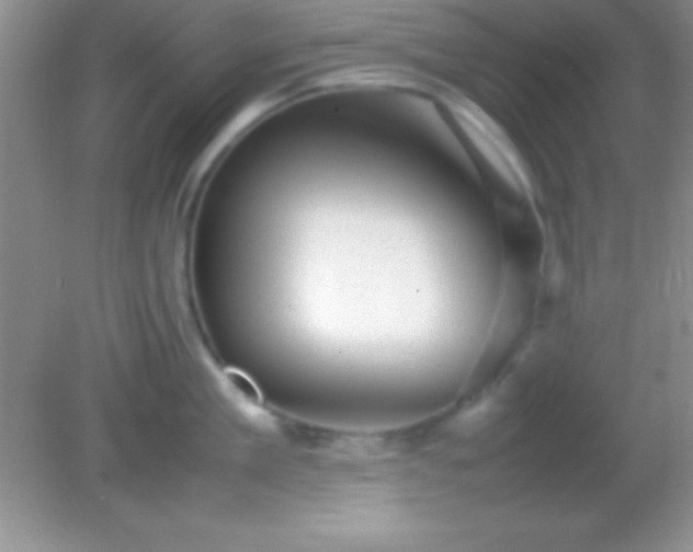 X0000082140909200701262239