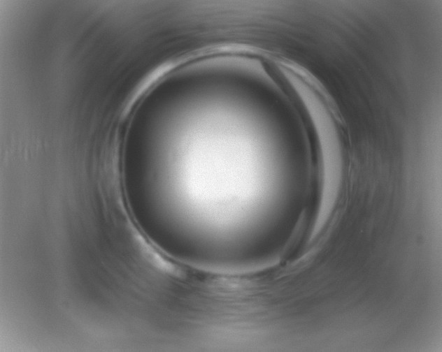 X0000082140910200701262239