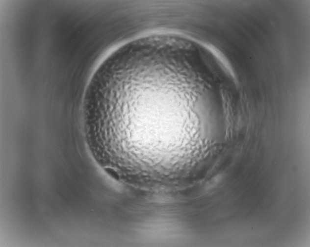 X0000082140911200701262239
