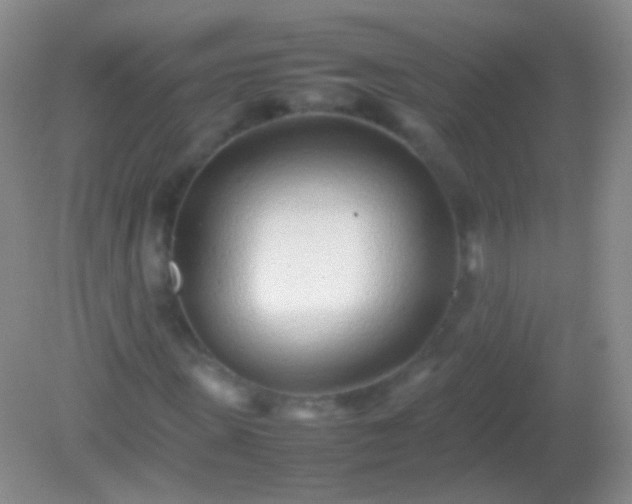 X0000082140915200701262238