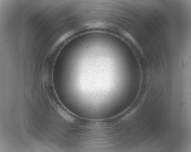 X0000082140922200701262238