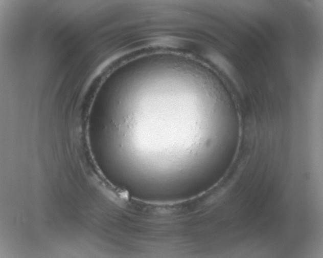 X0000082140923200701262238