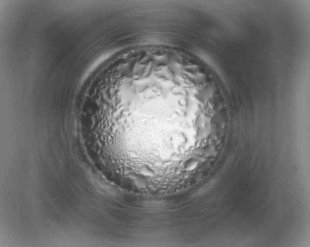 X0000082140925200701262239