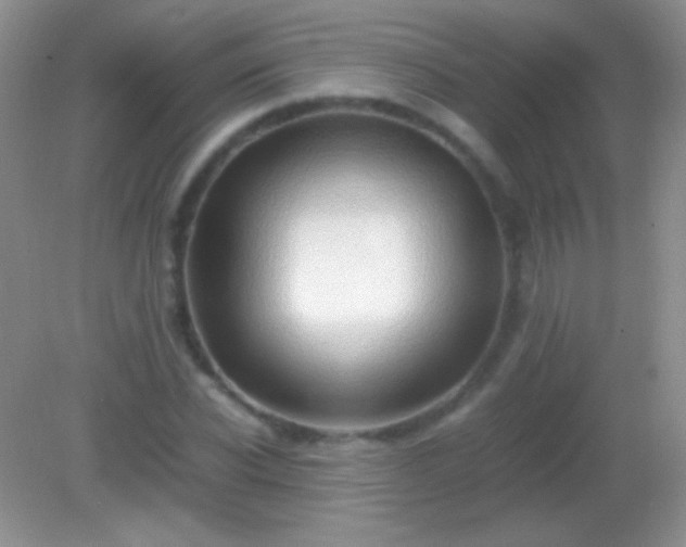 X0000082140926200701262239