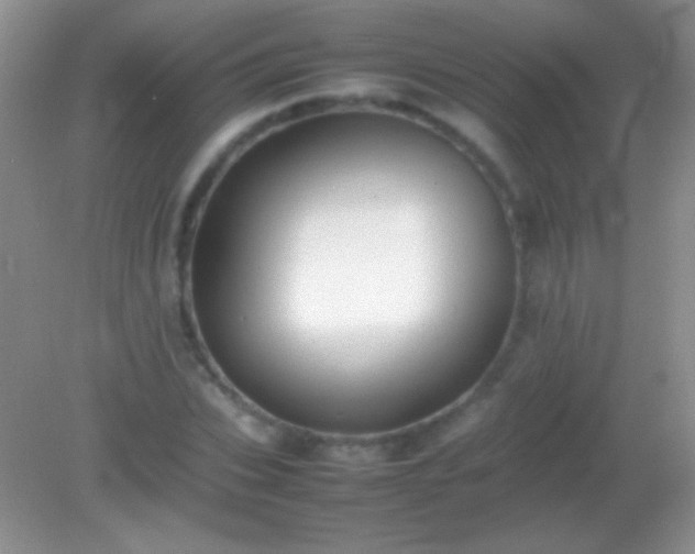 X0000082140927200701262239