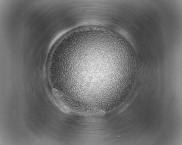 X0000082140928200701262239