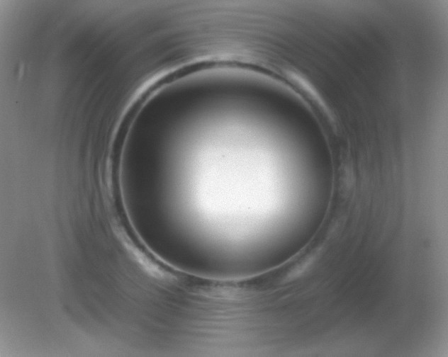 X0000082140932200701262239