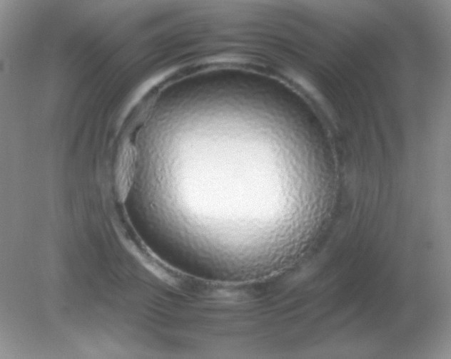 X0000082140933200701262239