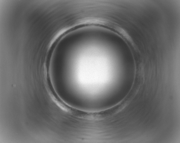 X0000082140936200701262239