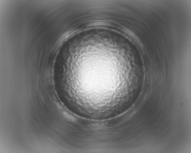 X0000082140937200701262239
