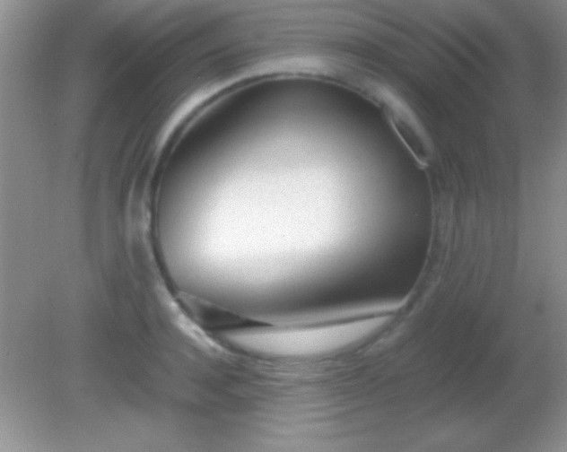 X0000082140944200701262239