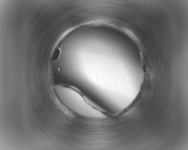 X0000082140948200701262239