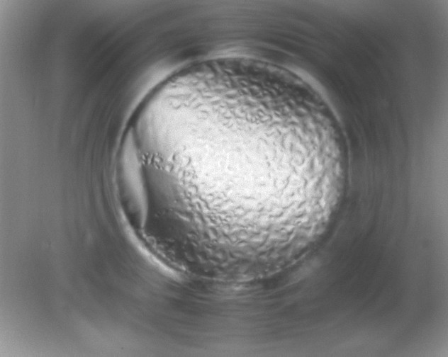 X0000082140949200701262239