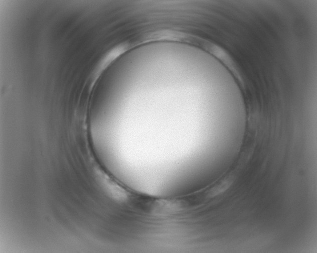 X0000082140954200701262239