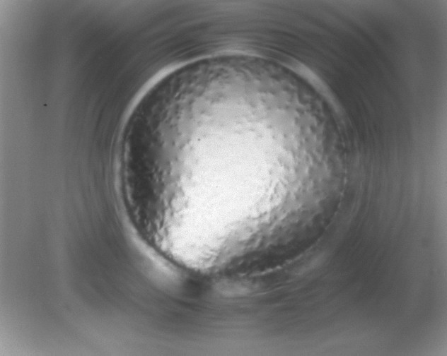 X0000082140955200701262239