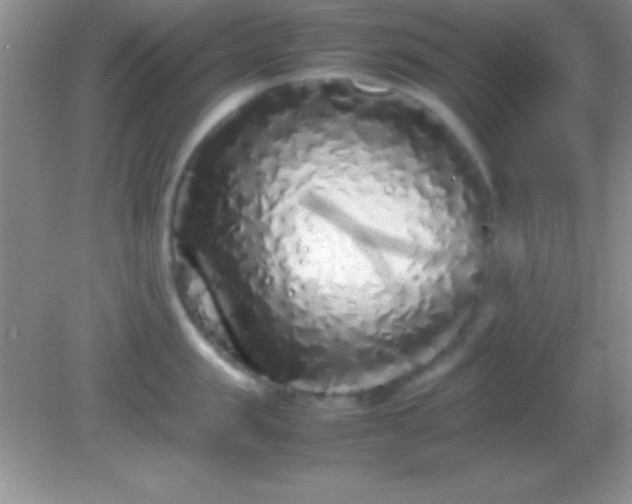 X0000082140957200701262239