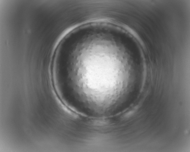 X0000082140959200701262239