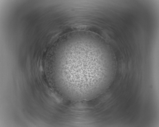 X0000082140962200701262238
