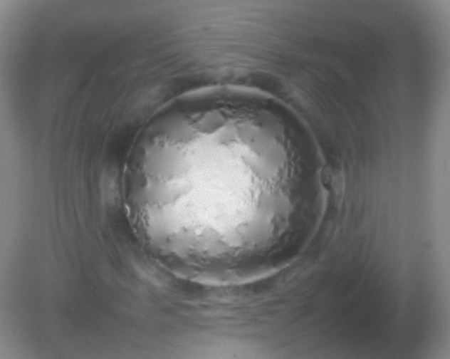 X0000082140963200701262238