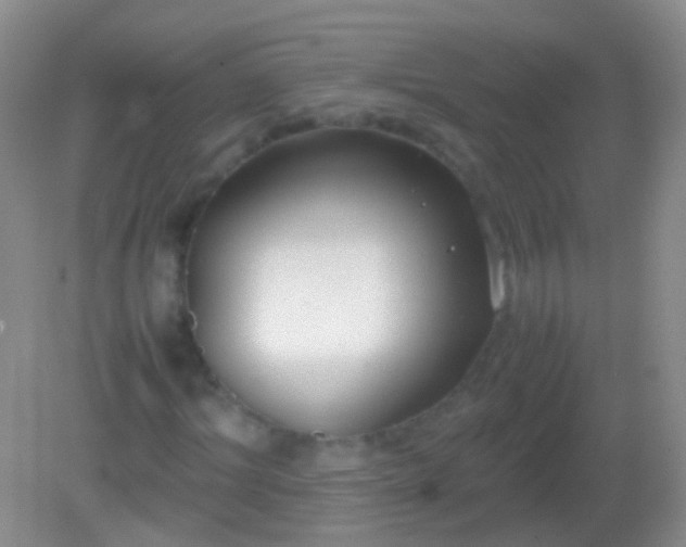 X0000082140964200701262238