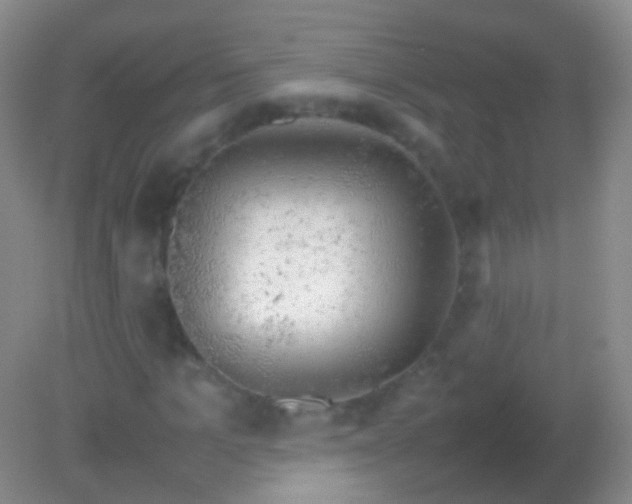 X0000082140965200701262238