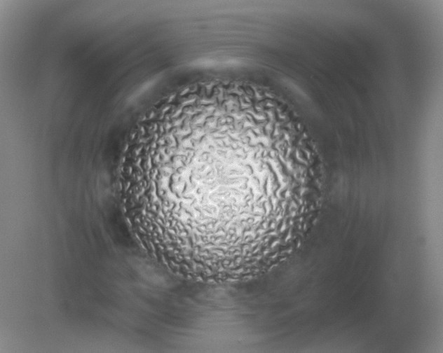 X0000082140966200701262238