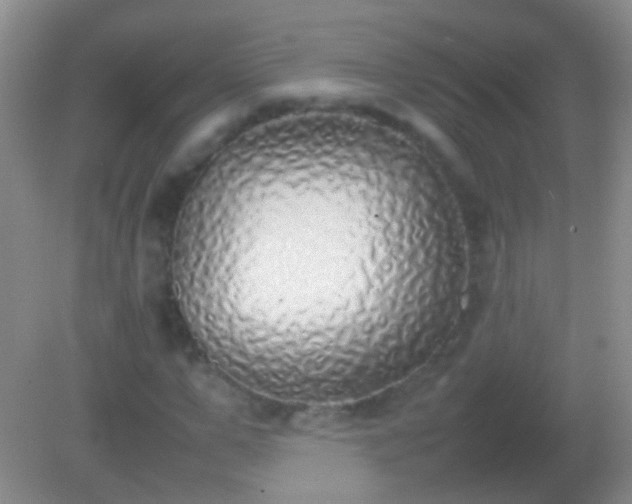 X0000082140967200701262238