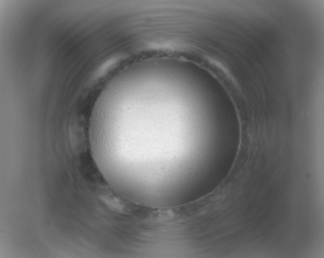 X0000082140968200701262238