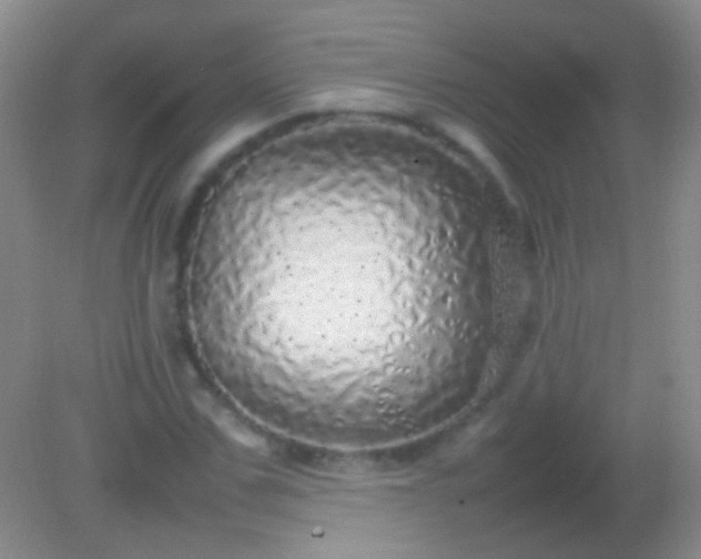 X0000082140971200701262238