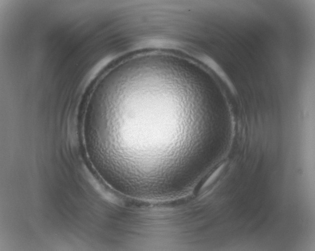 X0000082140972200701262238