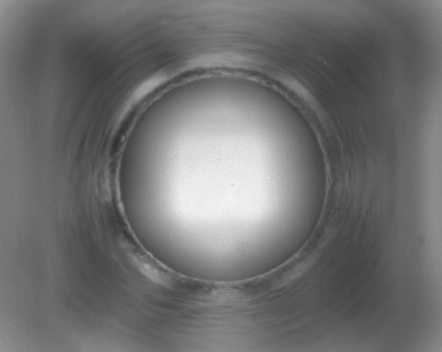 X0000082140974200701262238