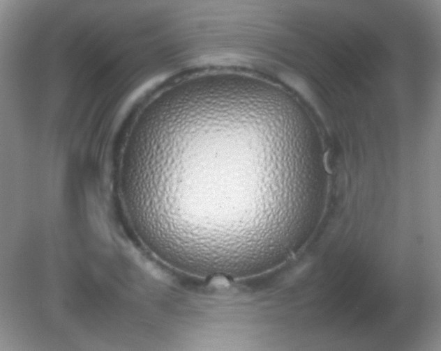 X0000082140979200701262238