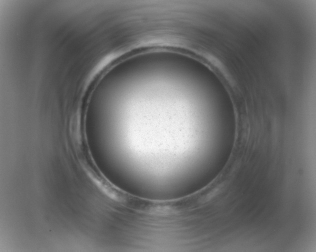 X0000082140982200701262238