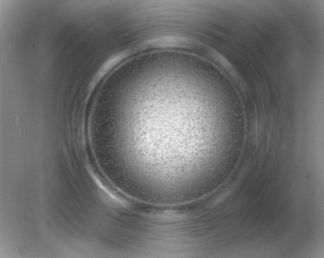 X0000082140986200701262238