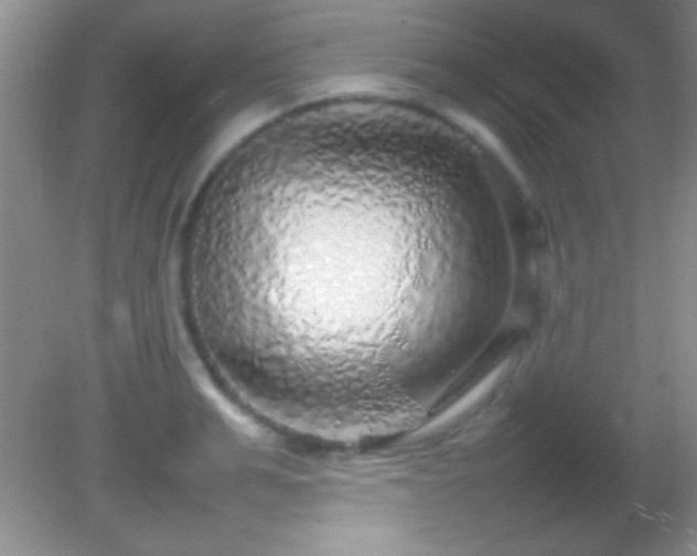 X0000082140991200701262238