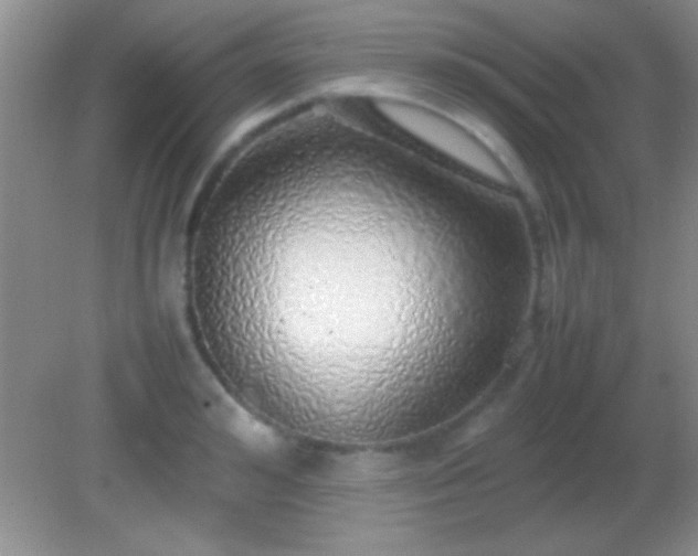 X0000082140992200701262238