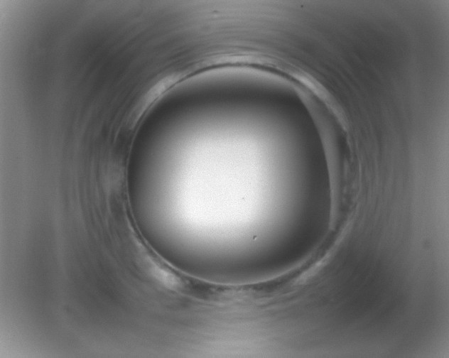 X0000082140993200701262238