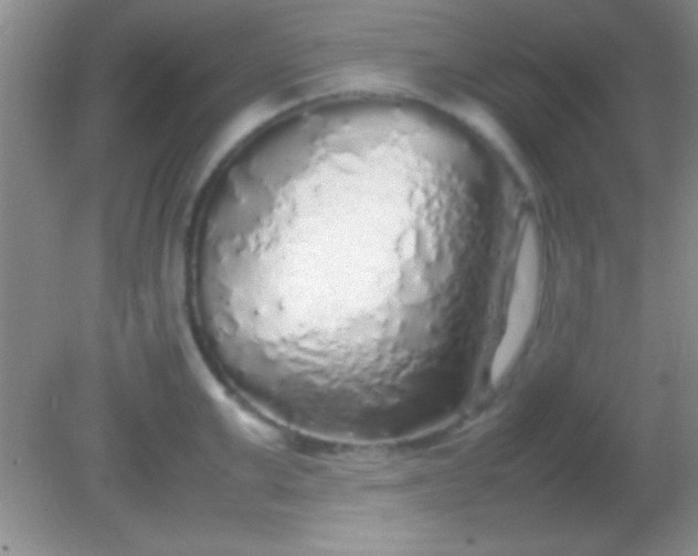 X0000082140999200701262238
