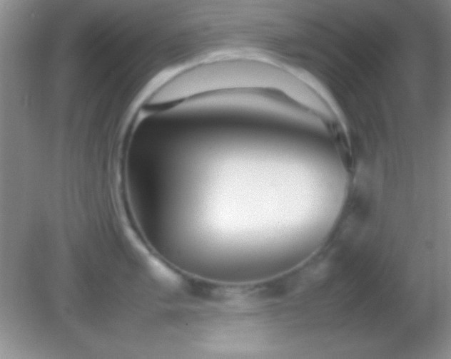 X0000082141005200701262238